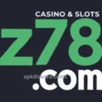 Z78 Game
