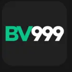 BV999 Game